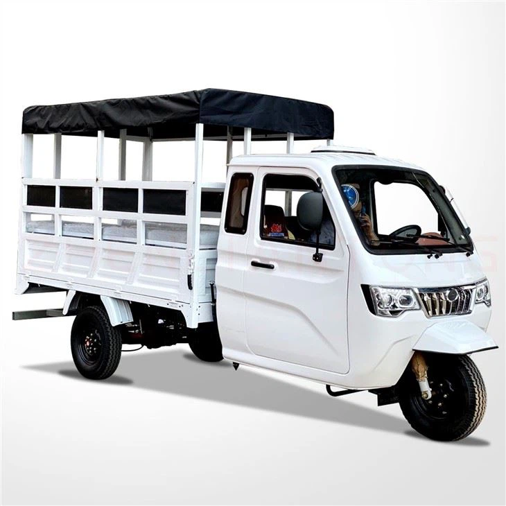 Super heavy loading cargo tricycle custom