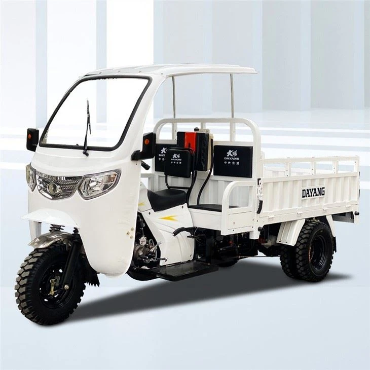 250cc Three Wheel Cargo Motorcycle