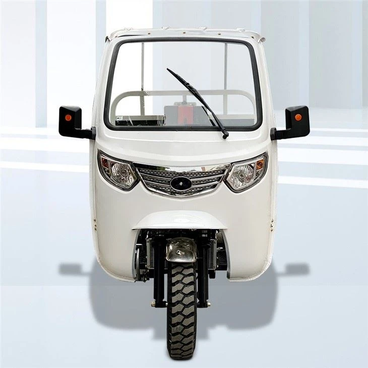 250cc Three Wheel Cargo Motorcycle