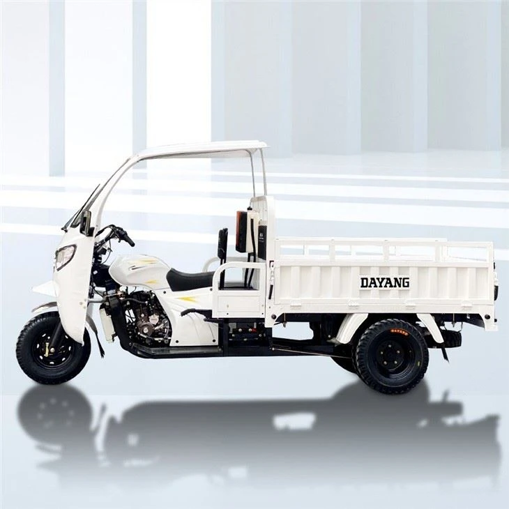 250cc Three Wheel Cargo Motorcycle