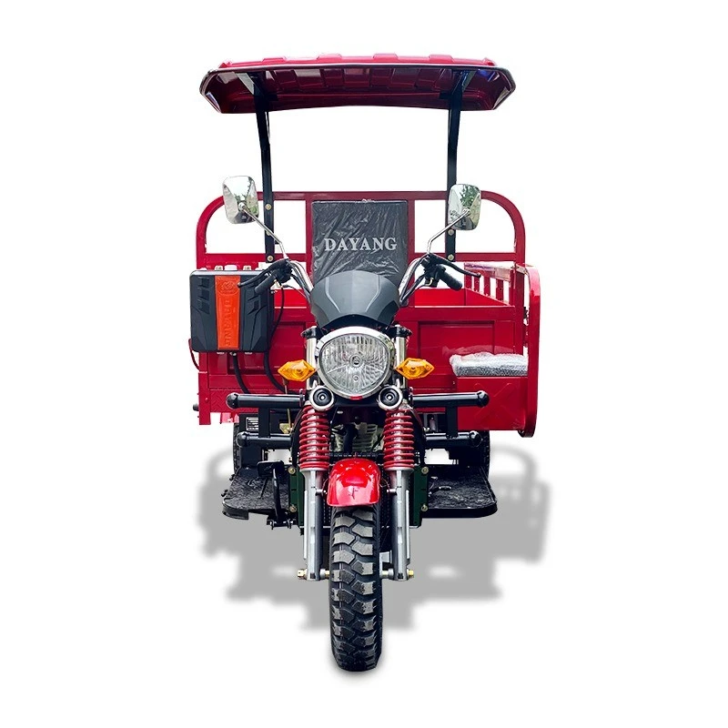 250cc 300cc 350cc Affordable Tricycle