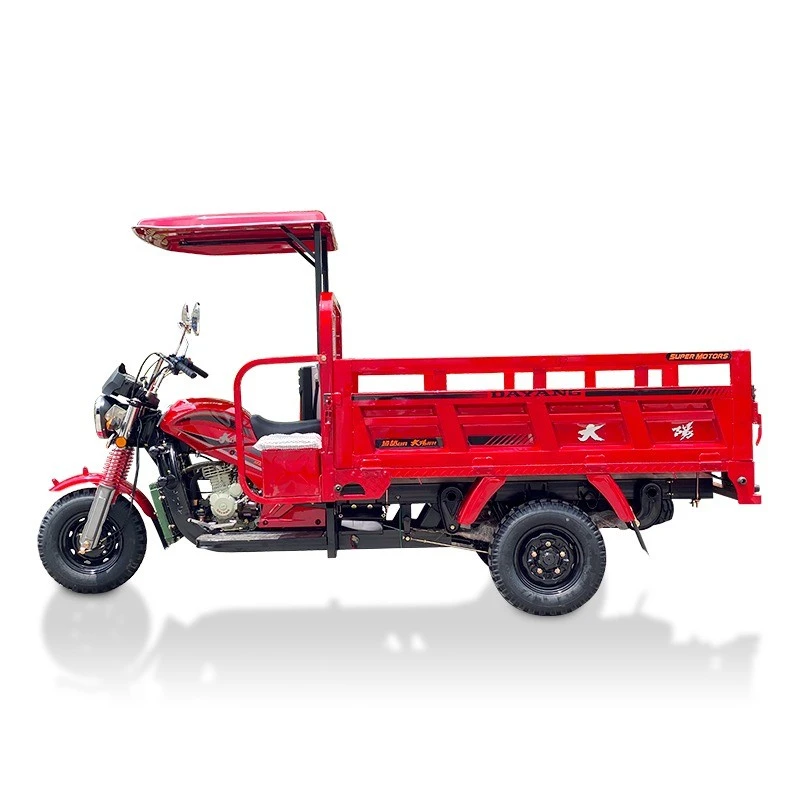 250cc 300cc 350cc Affordable Tricycle